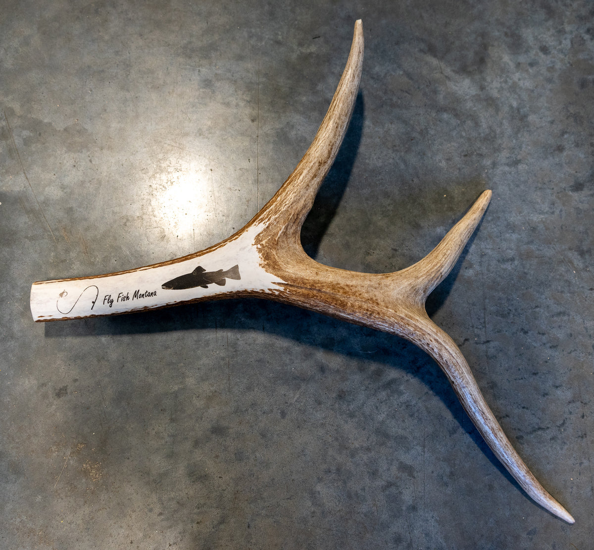 Engraved Antler Art Antlers Unlimited