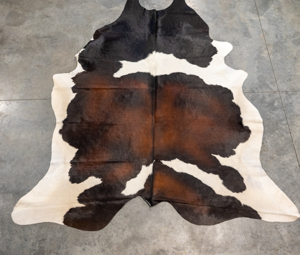 Decor – Antlers Unlimited