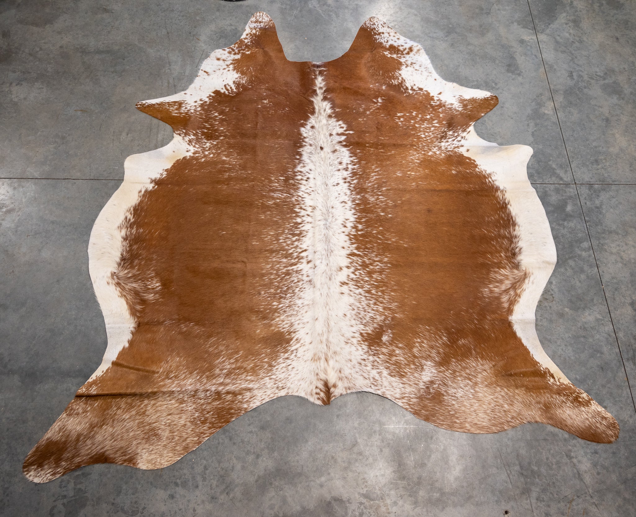 Cow Hide Rug Extra Large, Brown and White with White Center – Antlers ...