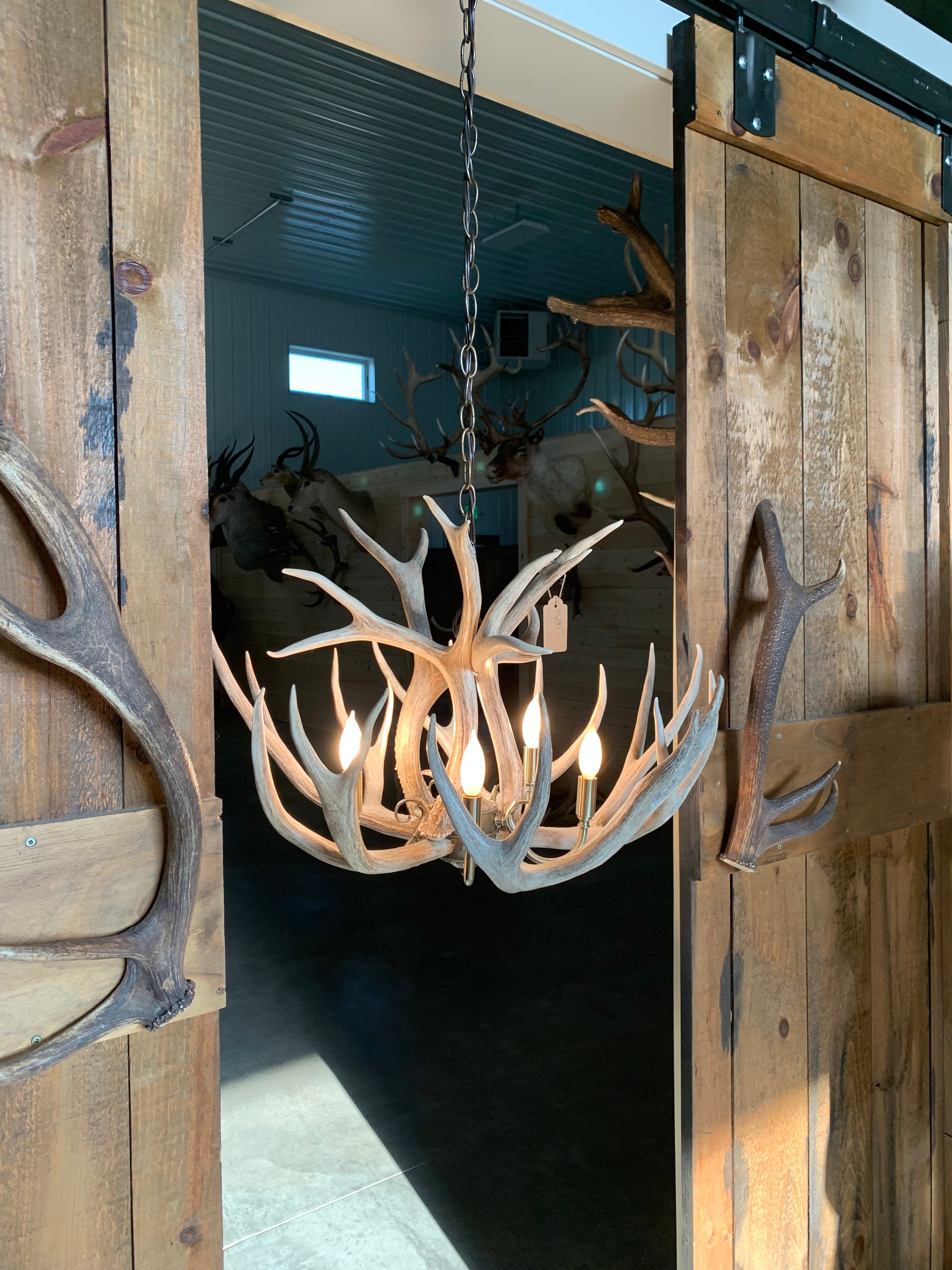 Hand Crafted 18" Antler Chandelier – Antlers Unlimited