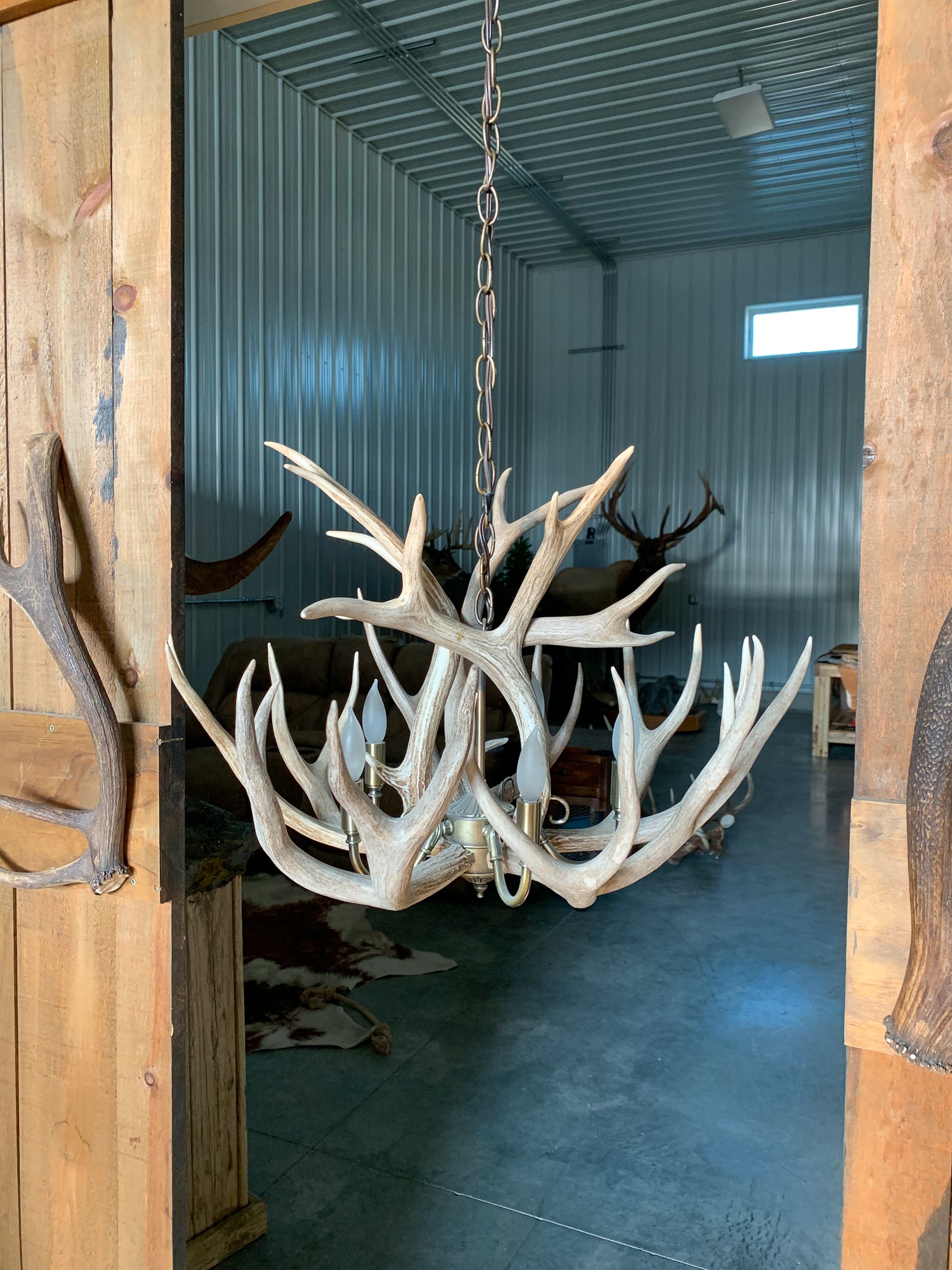 Hand Crafted 18" Antler Chandelier – Antlers Unlimited