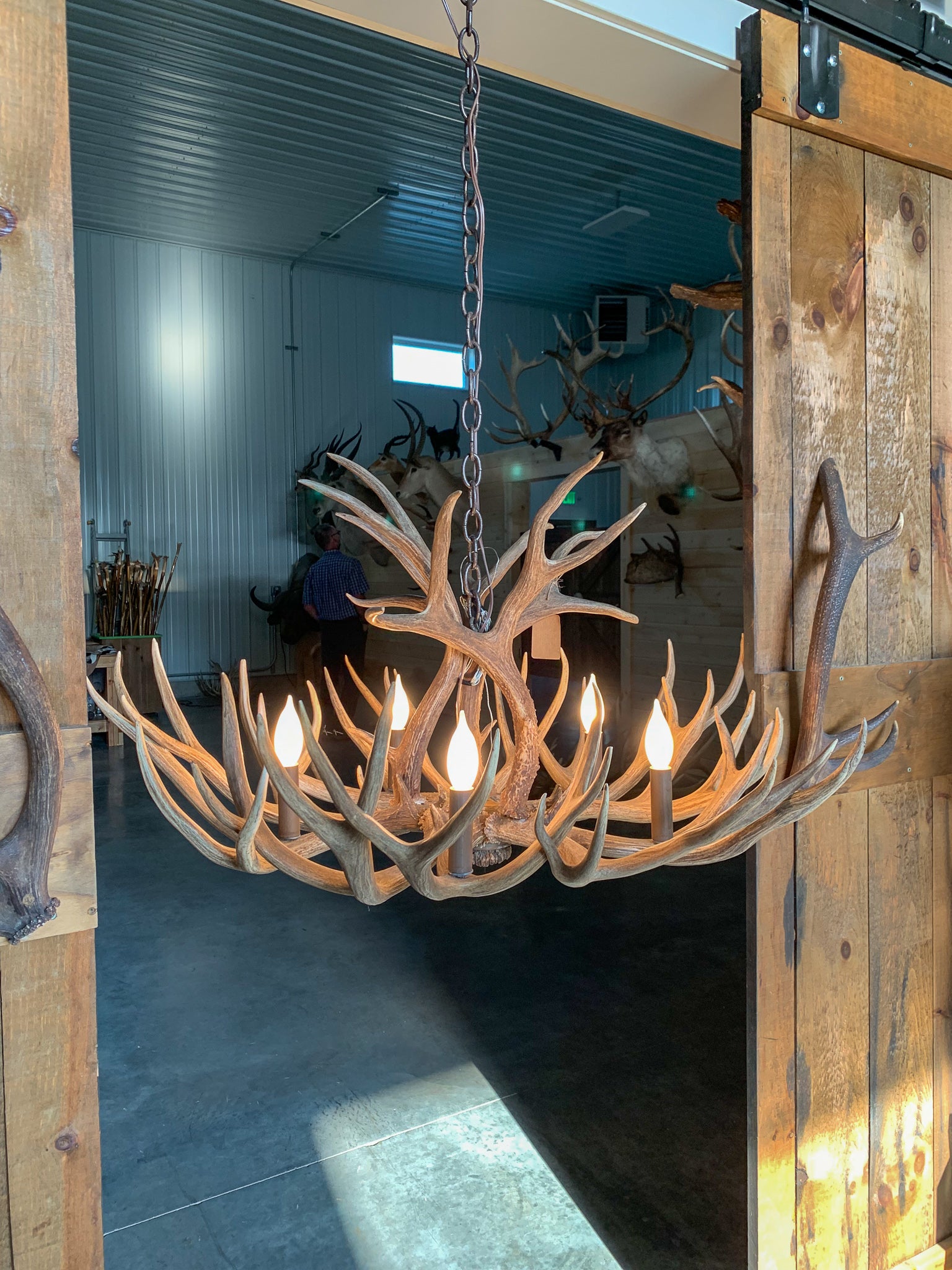 Hand Crafted 24" Antler Chandelier – Antlers Unlimited