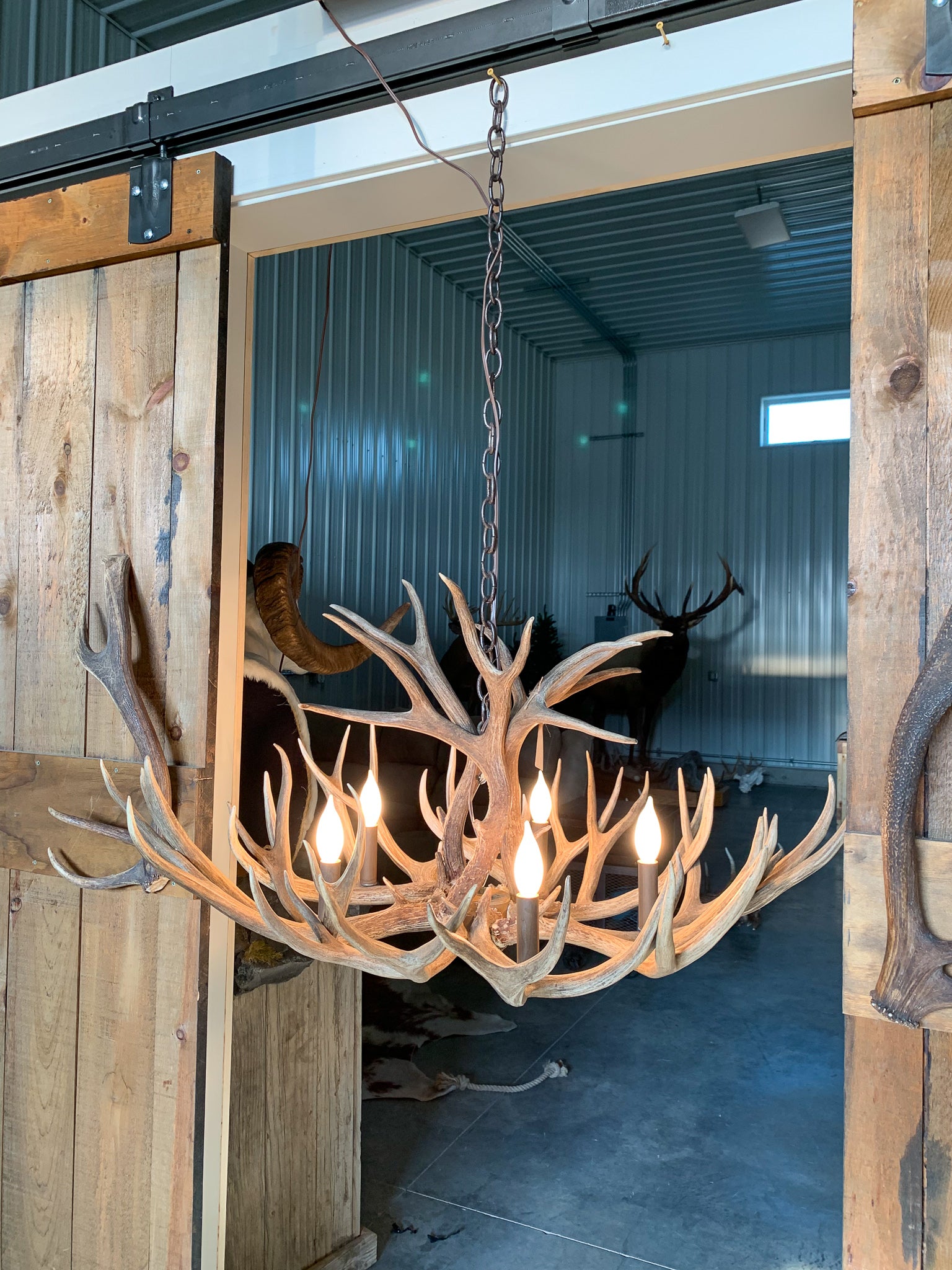 Hand Crafted 24" Antler Chandelier – Antlers Unlimited