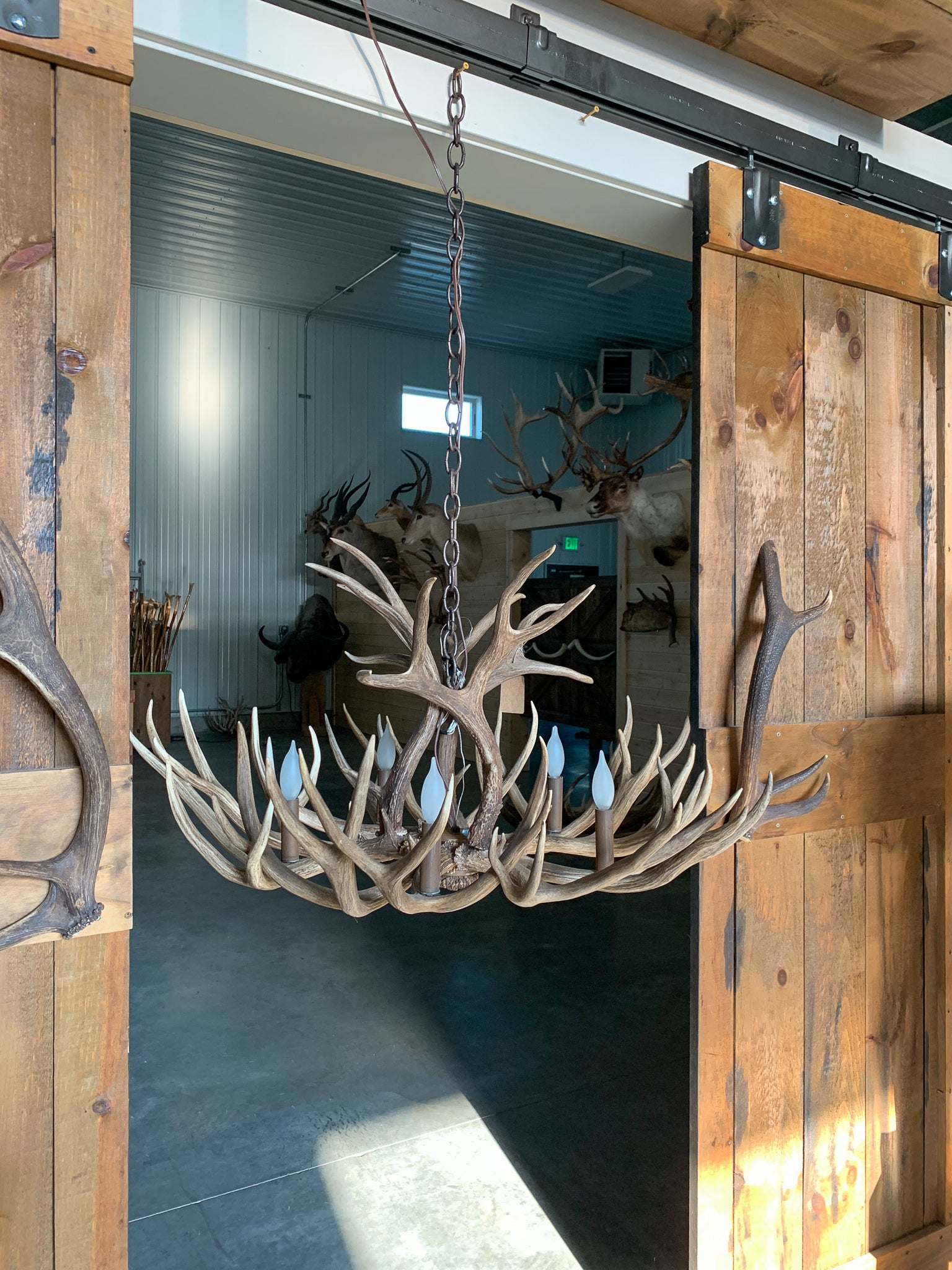 Hand Crafted 24" Antler Chandelier – Antlers Unlimited